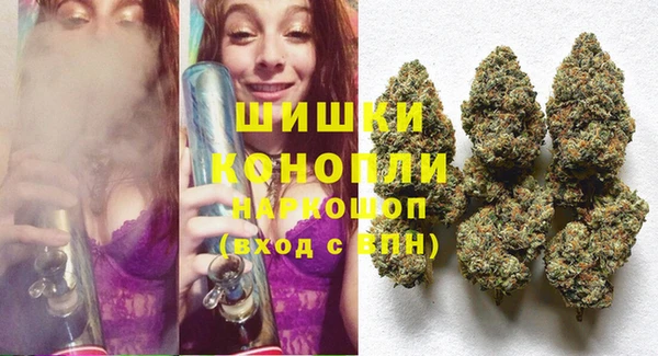 сатива Михайловск