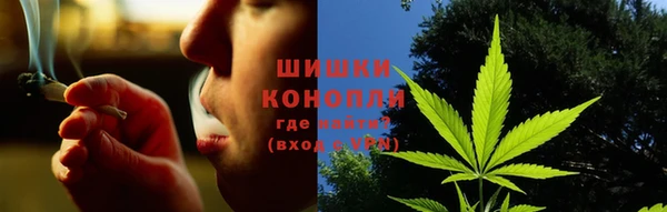 сатива Михайловск