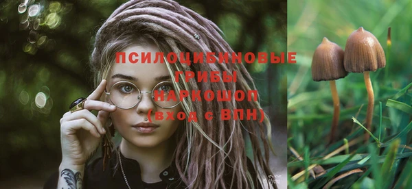 мдпв Навашино
