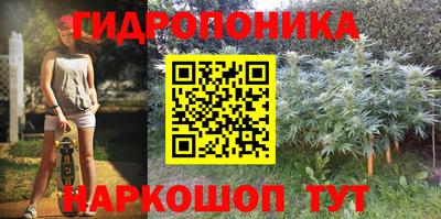 молекула духа Волжск