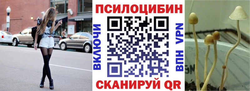 купить   Калач-на-Дону  кракен маркетплейс  Псилоцибиновые грибы мицелий 