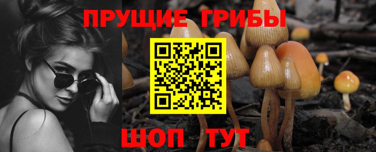 Псилоцибиновые грибы Cubensis  Галлюциногенные грибы Psilocybine cubensis  Вход с VPN  Калач-на-Дону 